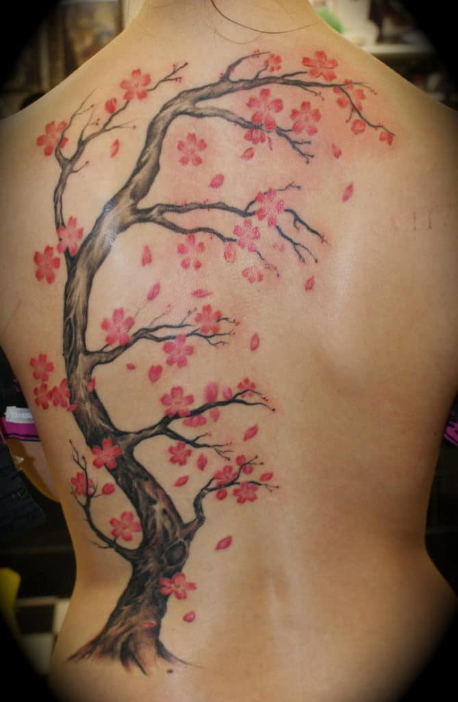 Cherry Blossom Tattoo Tree Bistro Usfoods