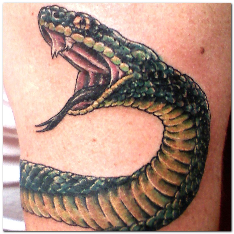 Ultimate Guide Snake Tattoo Ideas For Japan Bistro Usfoods