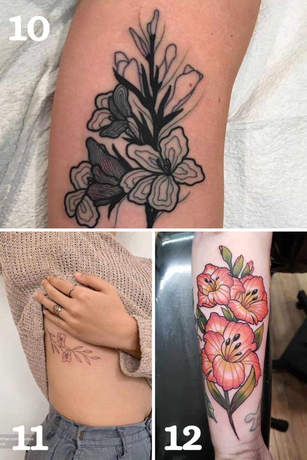 August Birth Flower Tattoos Poppies Gladiolus Tattoo Glee