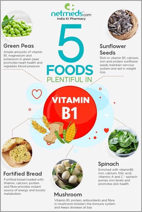 Foods Super Rich In Vitamin B1 For Overall Well Being Infographic