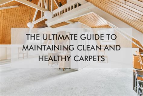 The Ultimate Guide To Maintaining Clean And Healthy Carpets Chem Dry Of Okc Edmond